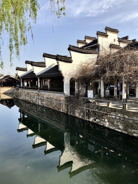 独眼萌怪吃金币